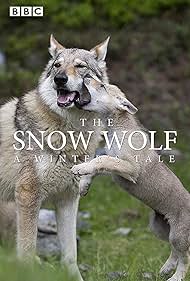 Watch Full Movie :The Snow Wolf A Winters Tale (2018) Watch Full Movie :The Snow Wolf A Winters Tale (2018)