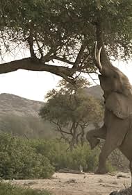 Wild Namibia (2014)